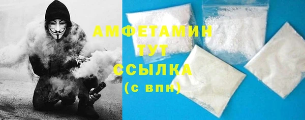 крисы Мегион