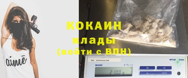 МДПВ Горняк