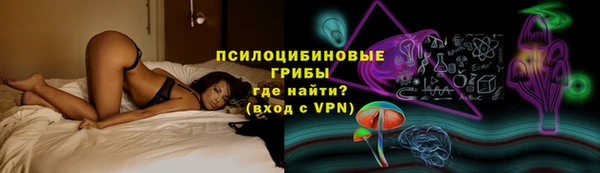 бутират Горнозаводск