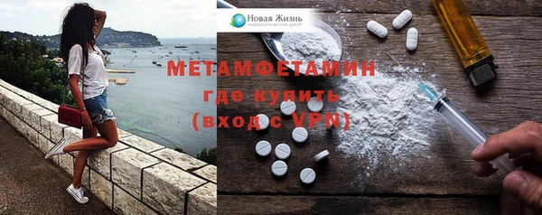 индика Медвежьегорск
